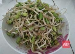 黄豆芽炒肉片的做法图解1