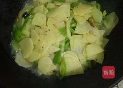 素炒土豆片的做法图解4
