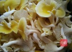 煮鸡油菌的做法图解1