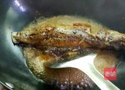 家常烧鱼的做法图解11