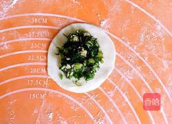 扇形饺子的做法图解8