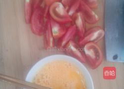西红柿鸡蛋盖饭的做法图解1