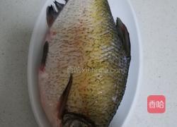 清蒸孔雀开屏鱼的做法图解1