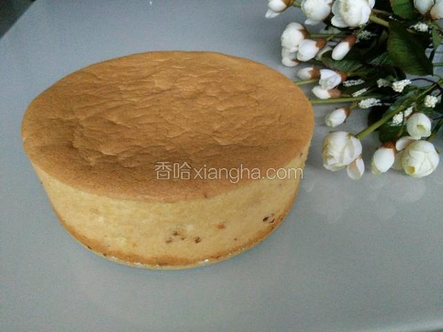 蔓越莓戚风蛋糕