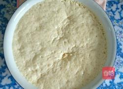 冰花素煎包的做法图解3