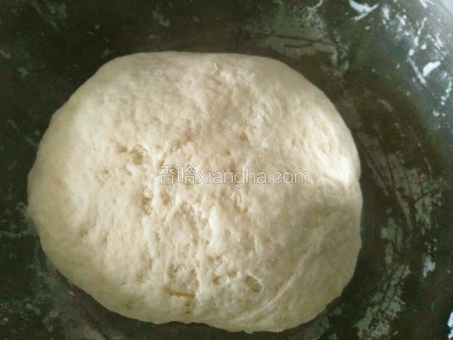 面粉加入适量水和成面团，要软一些，盖上湿布醒十分钟左右