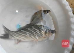 鲫鱼汤的做法图解1