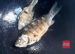 鲫鱼汤的做法图解4