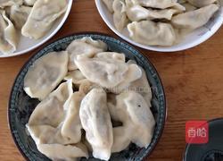 猪肉木耳胡萝卜水饺的做法图解13