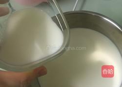 diy希腊酸奶的做法图解5
