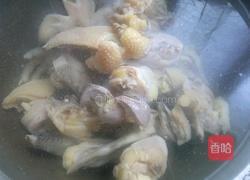 清炖土鸡块的做法图解4