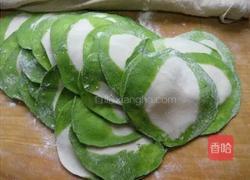 白菜饺子皮的做法图解7