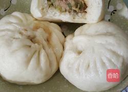 芸豆猪肉包子的做法图解10
