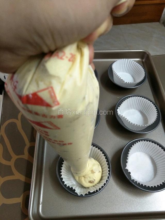 裱花袋剪个比较大的口子，挤到模具里，如果没有模具也可以直接挤在烤盘上，但记得每个面糊要保持大概半个面糊的空间，烤的时候会有点摊开和膨胀。
