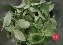 荆芥拌黄瓜的做法图解1