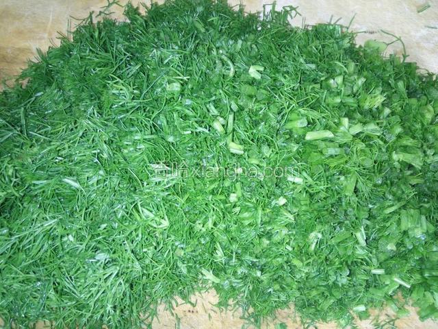切去老根，把茴香切碎