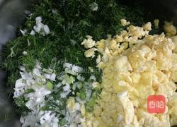 鸡蛋茴香包子的做法图解9