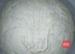 鸡蛋茴香包子的做法图解11