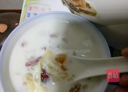 牛奶炖花胶的做法图解4