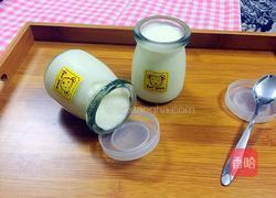 自制酸奶的做法图解8