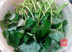蒜香豆鼓炒红薯叶的做法图解1