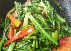 肉片辣炒油麦菜的做法图解9