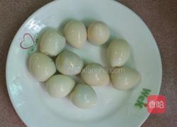 健脾三圆汤的做法图解2