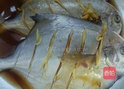 蒸鲳鱼的做法图解4
