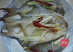 蒸鲳鱼的做法图解5