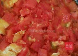 西红柿鸡蛋酱面的做法图解5