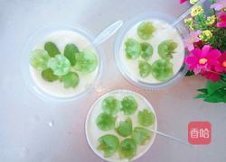 全脂奶粉做酸奶的做法图解10