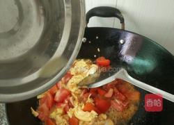 番茄炒蛋的做法图解4