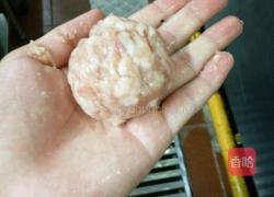 红烧狮子头家常版的做法图解7