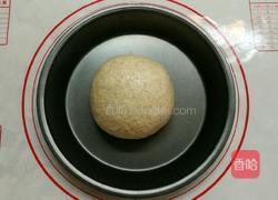 益糖全麦餐包(糖尿病糖友食谱)(减肥瘦身适用)的做法图解7
