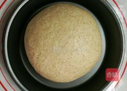 益糖全麦餐包(糖尿病糖友食谱)(减肥瘦身适用)的做法图解8