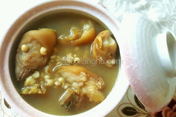 荷叶薏米猪蹄汤