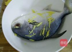 红烧鲳鱼的做法图解2