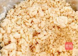 蓝莓柠檬司康(scone)的做法图解6