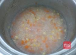 胡萝卜蔬菜粥的做法图解3