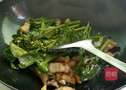 五花肉炒芥兰的做法图解7