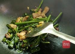 五花肉炒芥兰的做法图解9