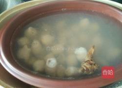 蜂蜜莲子小肠汤的做法图解7