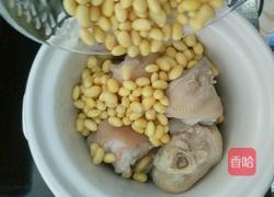 黄豆炖猪蹄的做法图解6