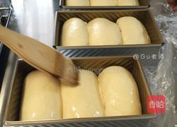 100%中种北海道吐司(软妹子)的做法图解10