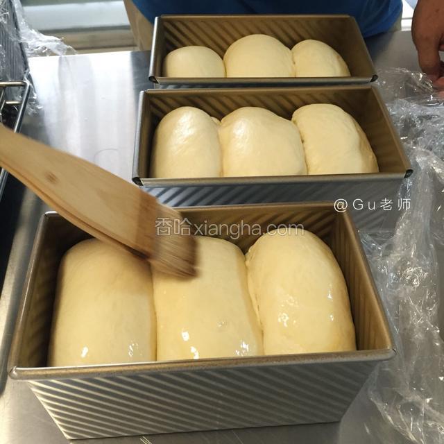 发酵八九分满
刷蛋液
烤箱预热上下火180
烘烤30分钟
温度按照自家烤箱