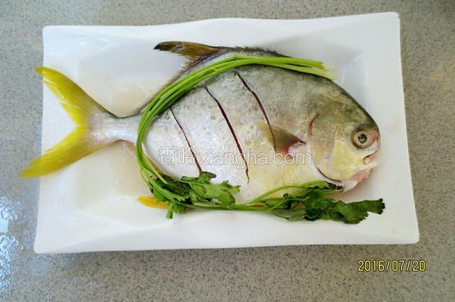姜丝和葱结塞入鱼腹，放上香菜。