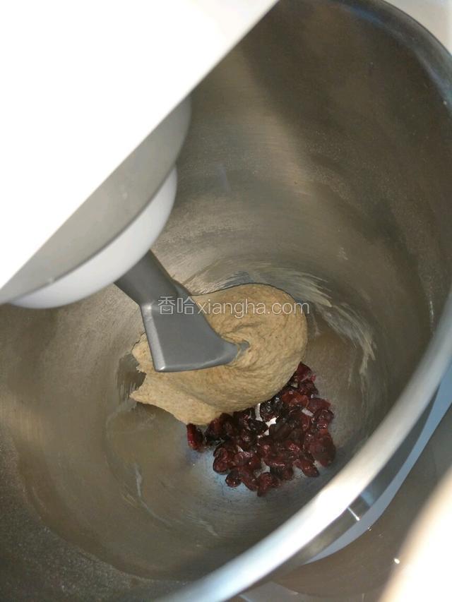能拉出厚膜之后投入盐，盐起到洁白面团和支撑骨架的作用，也会凸显出甜味，再搅拌个2·3分钟，再投入蔓越莓干，被面团包裹住了就可以了。