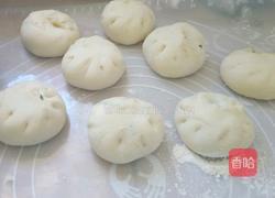 虾仁空心菜包子的做法图解15