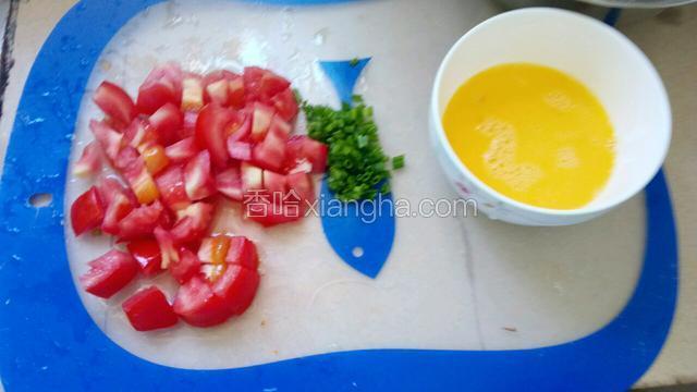 鸡蛋打散，番茄切碎，葱切成葱花
