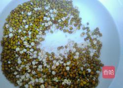 绿豆薏仁百合羹的做法图解4